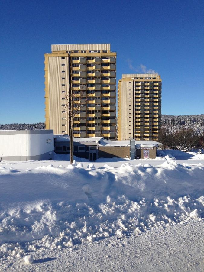 Ferienwohnung "Rodelnde Geiss" Mit Schwimmbad ブラウンラーゲ エクステリア 写真