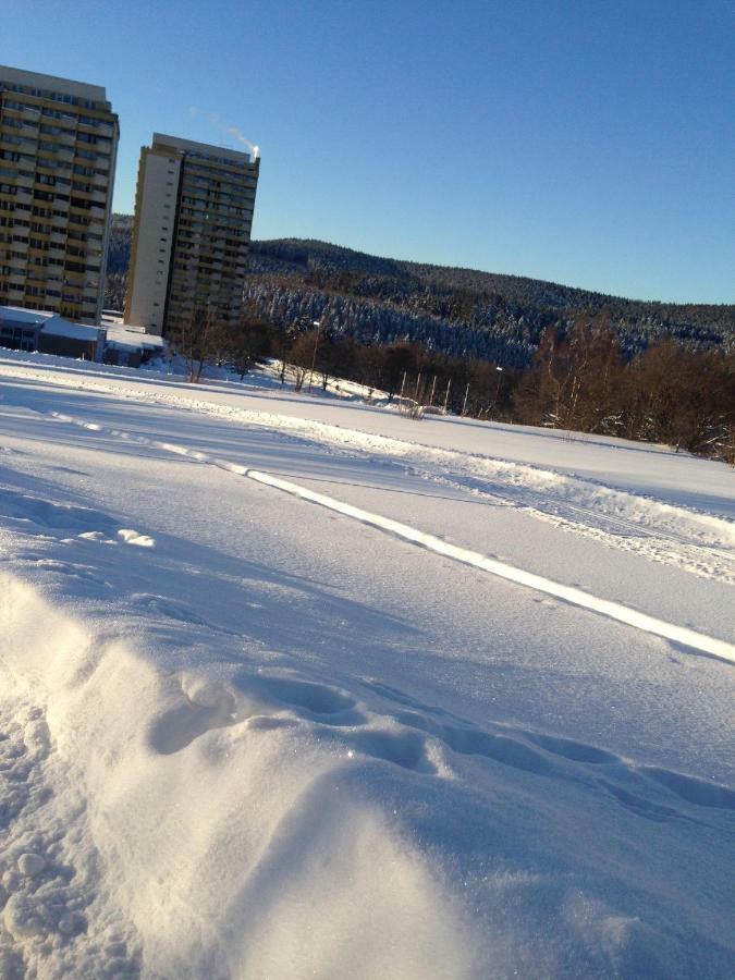 Ferienwohnung "Rodelnde Geiss" Mit Schwimmbad ブラウンラーゲ エクステリア 写真